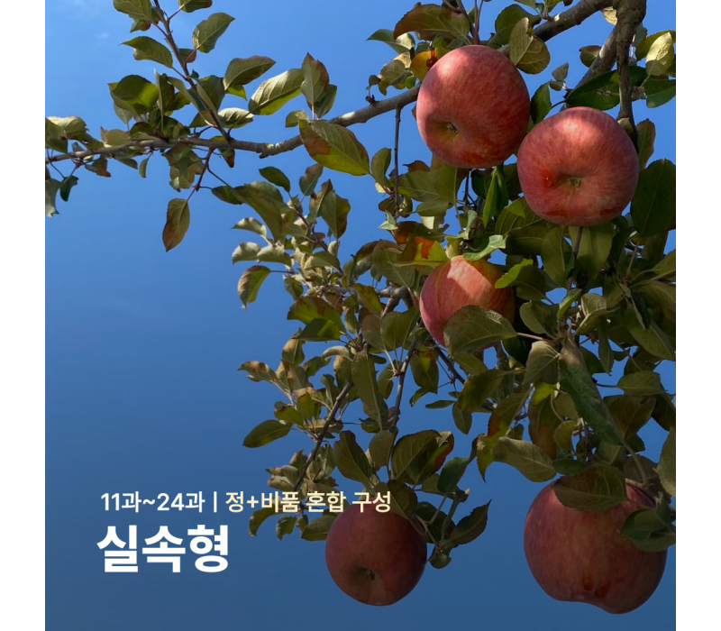 [실속형] 부사ㅣ11~24과ㅣ정+비품 혼합 구성 상품