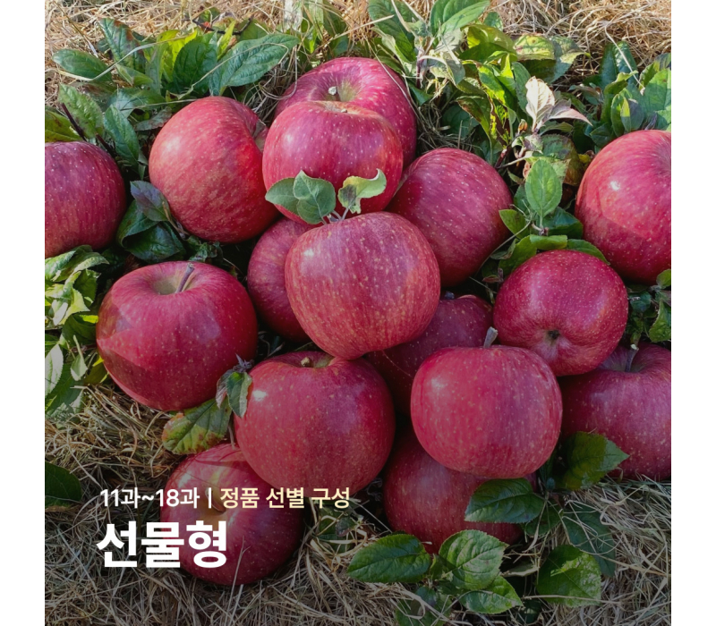 [선물형] 부사ㅣ11~18과ㅣ정품 선별 구성