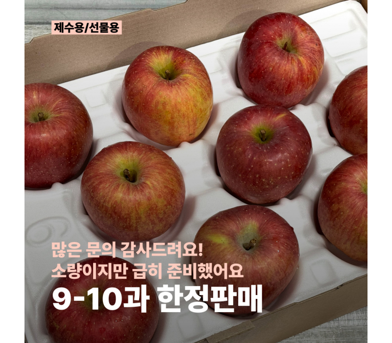 [한정판매_제수·선물] 부사ㅣ9~10과ㅣ정품 선별 구성
